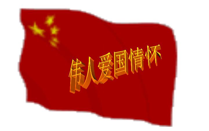 救援白色小猫