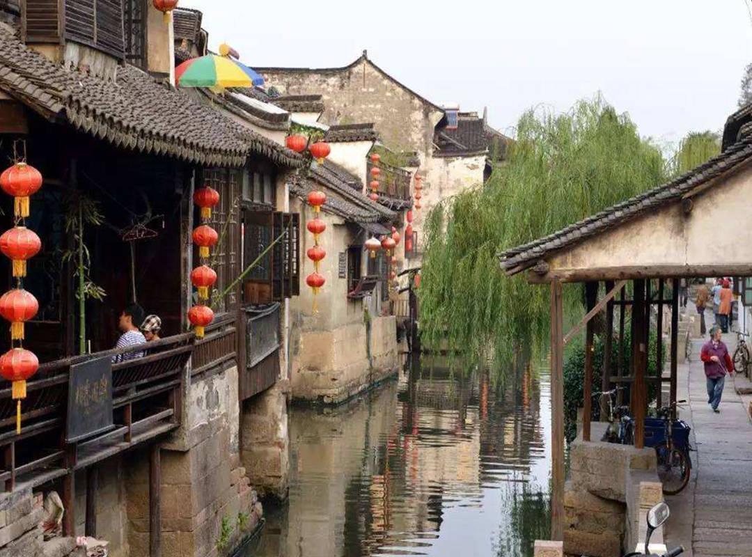 动物帮帮忙保卫家园